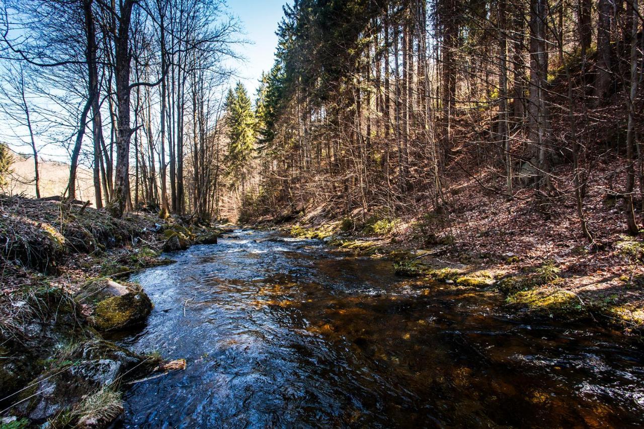 Chalupa Šárka Dolni Dvur Exterior foto